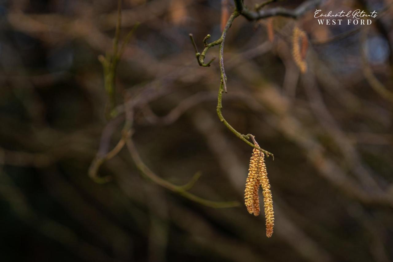 Enchanted Retreats At West Ford Devon Саут-Молтон Екстер'єр фото