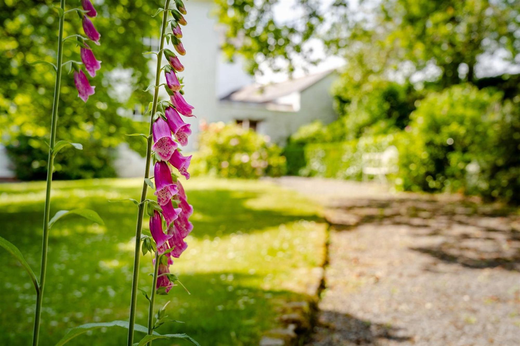 Enchanted Retreats At West Ford Devon Саут-Молтон Номер фото